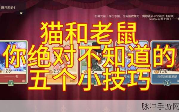 总有你不知道的，揭秘猫和老鼠手游所有道具正确使用方法