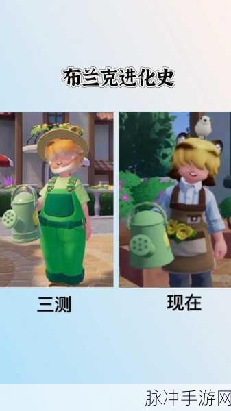 心动小镇深度探索,贝莉筹建任务攻略与宠物进化全揭秘