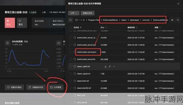 手机版Steam密码修改与遗忘解决方案全攻略