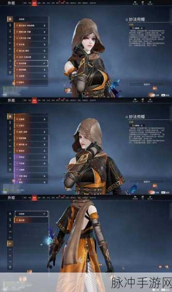 流星蝴蝶剑手游深度解析,橙装素女图鉴展现的绝世风华与传奇魅力