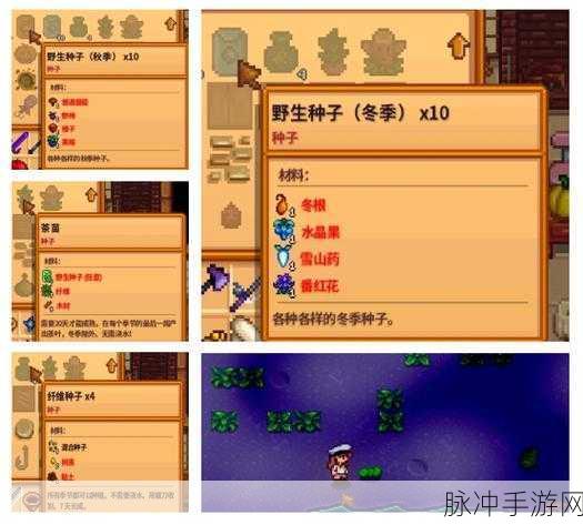 星露谷物语深度探索,揭秘铱矿石藏匿之地,深入哪个矿洞探寻珍贵资源?