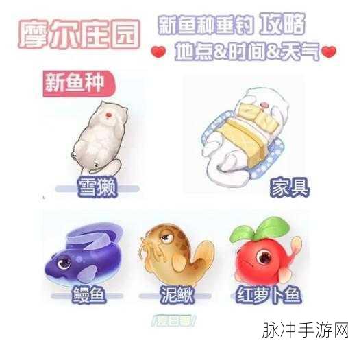 摩尔庄园手游泥鳅钓鱼全攻略,位置、方法与技巧