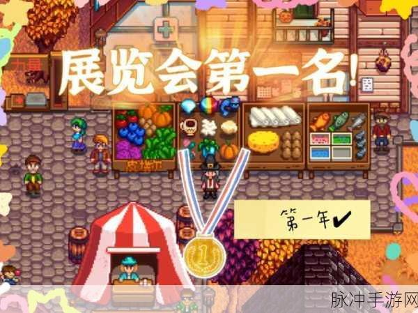星露谷物语展览会全攻略,玩转星露谷,体验展览无尽乐趣