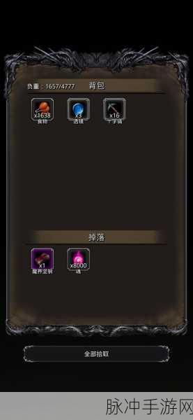 地下城堡2游戏攻略，图22任务全流程详细解析与指导