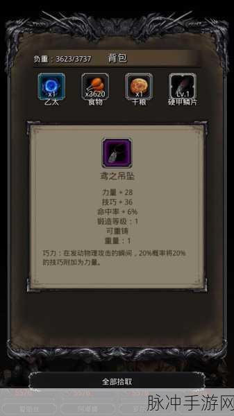 地下城堡2游戏攻略,图22任务全流程详细解析与指导