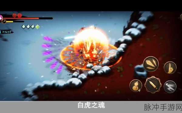 狂暴之血助力极致,深入剖析暖雪手游狂暴之血流派顶级搭配