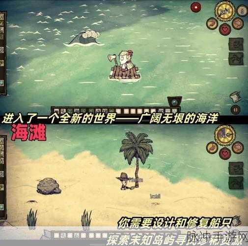 饥荒鹈鹕，海洋探险中的多功能伙伴全面解析