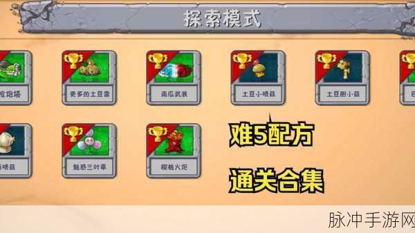 植物大战僵尸中文版第50关通关秘籍,策略与技巧的完美融合
