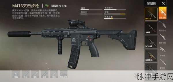 和平精英罗小黑联动,M416联名枪械皮肤珍贵收藏指南