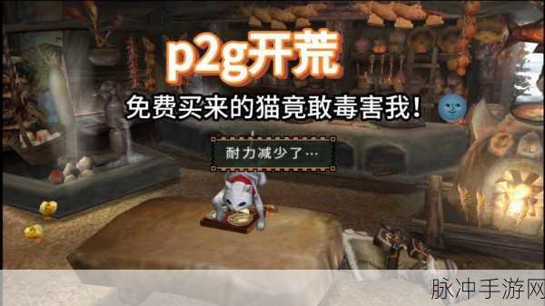 PSN二档会员游戏攻略，怪物猎人是否包含在内？