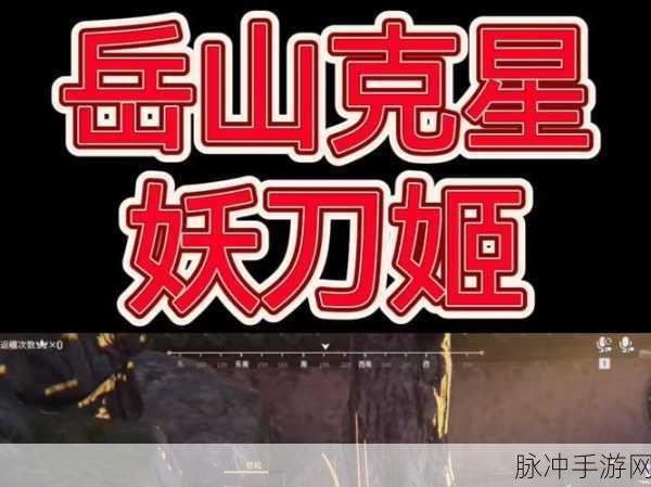 最强蜗牛,红龙爪至毁灭之爪的蜕变之旅——合成与升级全攻略