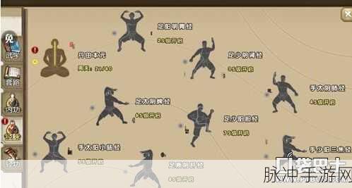 九阴真经手游深度攻略，豹胎易经丸的奇妙用法与获取途径