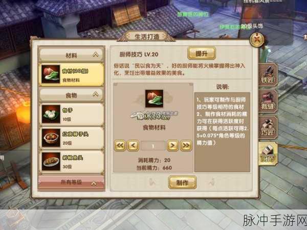 九阴真经手游深度攻略,豹胎易经丸的奇妙用法与获取途径