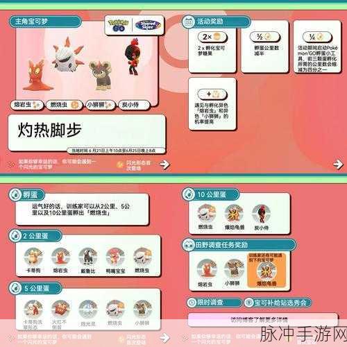 口袋妖怪XY孵蛋全攻略,专业术语详解