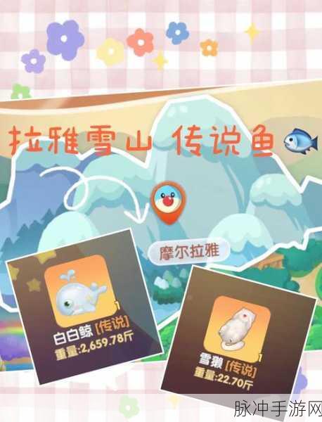 摩尔庄园钓鱼全攻略,揭秘锦鲤垂钓技巧与分布热点