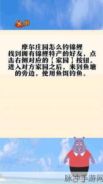 摩尔庄园钓鱼全攻略,揭秘锦鲤垂钓技巧与分布热点
