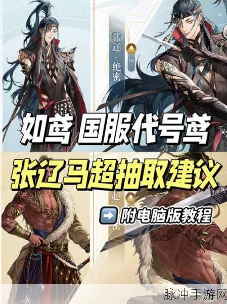 如鸢张辽全面解析，技能与天赋的深度探索