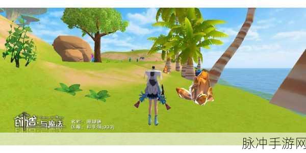 创造与魔法手游攻略,魅族账号换绑全解析