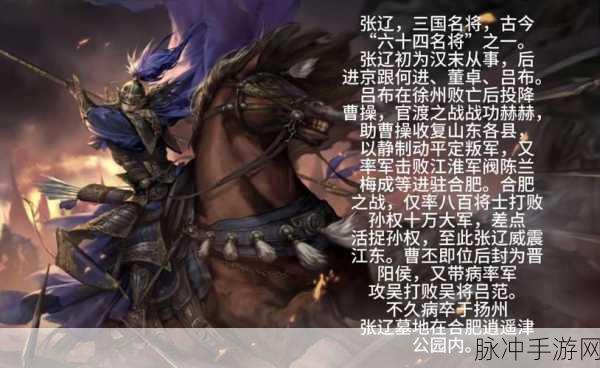 率土之滨张辽搭配全攻略,解锁你的战场霸主