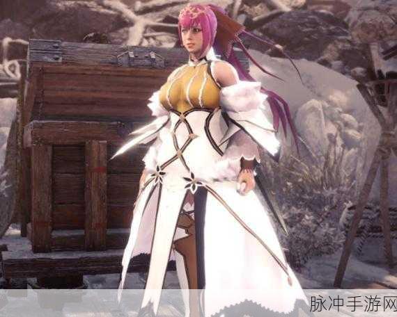 冰原狂欢,解锁无限可能,怪物猎人冰原无限道具MOD深度攻略