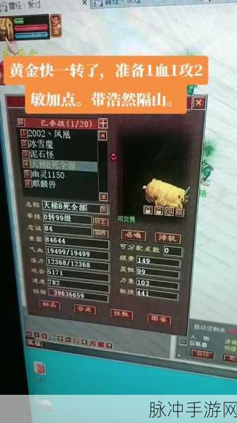 大话西游2口袋版,全面解析如何高效点套装