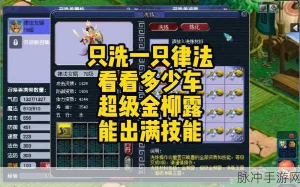 梦幻西游手游深度攻略,揭秘律法女娲套装属性与实战运用