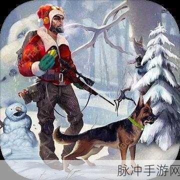 废土危行新手不知道的技巧全揭秘