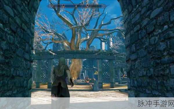 上古卷轴5重制版支线任务自然的赐福详细攻略介绍