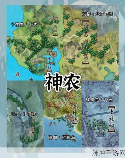 古剑奇谭二手游深度解析，神农封印玩法及高效副本攻略