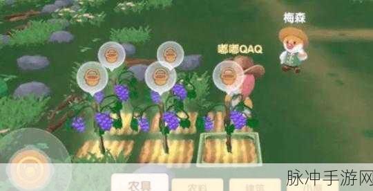 摩尔庄园手游葡萄获取全攻略，解锁你的甜蜜庄园