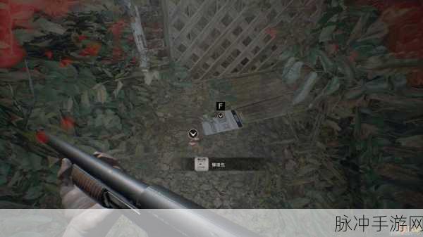 生化危机7第八章矿场追踪，详尽攻略指南