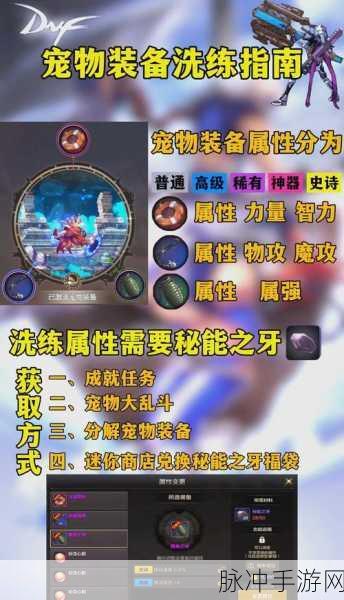 DNF110级版本宠物灵魂全面获取攻略,解锁宠物新境界