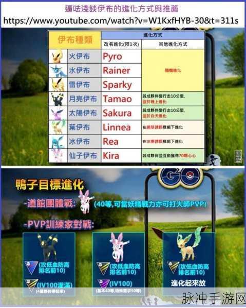 口袋妖怪白金金手指攻略,解锁伊布的秘密代码