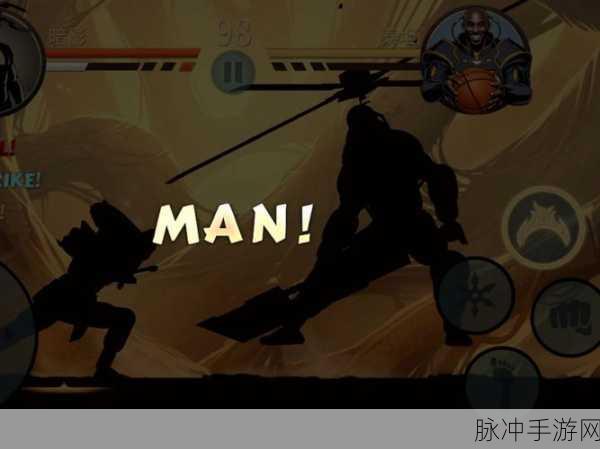 暗影格斗4联机版，动作格斗新纪元，值得一试的热血挑战
