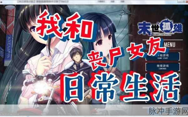 末世孤雄2直装最新版本下载,国产热门趣味休闲益智游戏深度解析