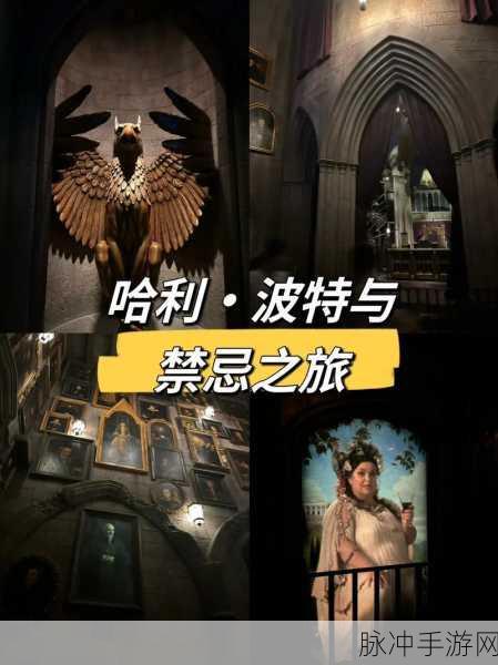 深入探索哈利波特禁忌之旅手游,一场魔法世界的冒险之旅