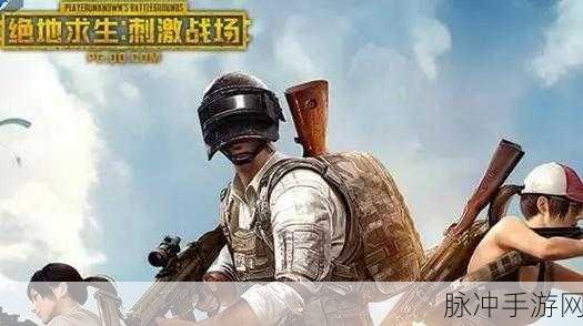 绝地求生录像关闭大揭秘,轻松操作指南,彻底告别录像烦恼!