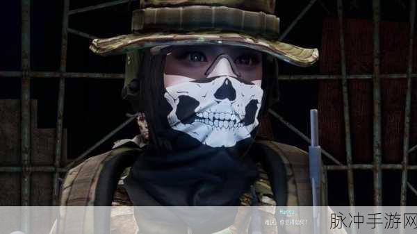 辐射4深度攻略,揭秘铁卫兵能否成为你的私人守护者