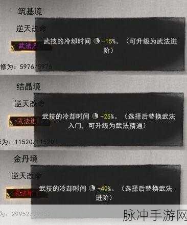 鬼谷八荒元婴万剑流剑修技能选择全攻略,元婴万剑流剑修技能搭配详解