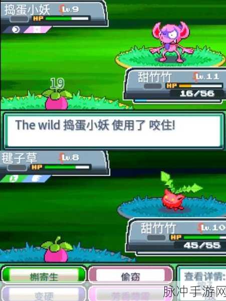 姆莎娜的神秘之旅,全面探索口袋妖怪世界的攻略指南