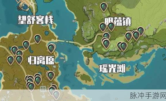 原神手游攻略,全面解析蜥蜴尾巴的获取方法