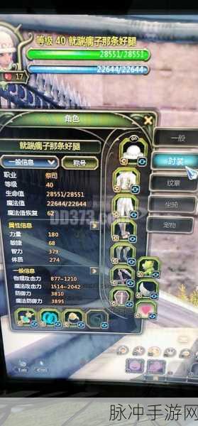 龙之谷2手游药品装备全攻略，详解与介绍