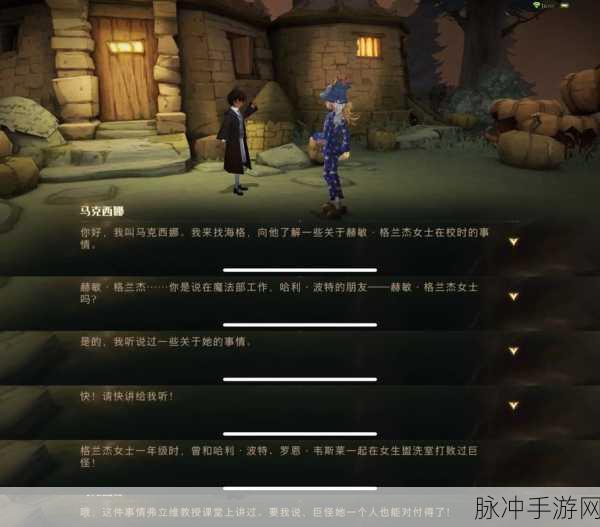 揭秘手游哈利波特,魔法觉醒中的哈利阿瓦达啃大瓜卡牌攻略