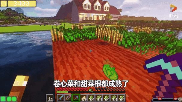 我的世界手机版甜菜根全攻略,解锁它的多样用途