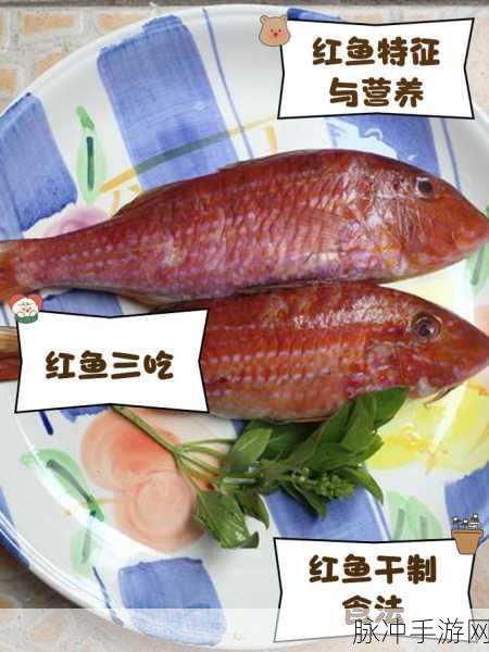 妄想山海红鱼钓点攻略详解,掌握技巧,轻松钓获珍稀红鱼