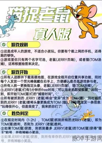 猫和老鼠手游猫咪玩法全攻略,掌握技巧,智取胜利