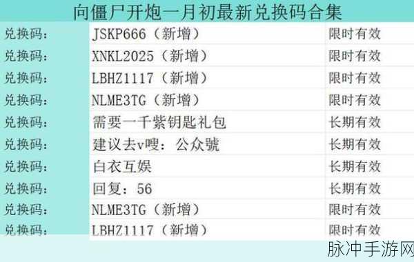 向僵尸开炮兑换码大全，全面解析与使用技巧