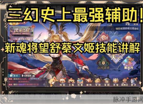 三国志幻想大陆阴后打法全攻略,解锁胜利的关键策略