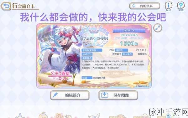 公主连结深度解析,游戏术语与黑话全攻略