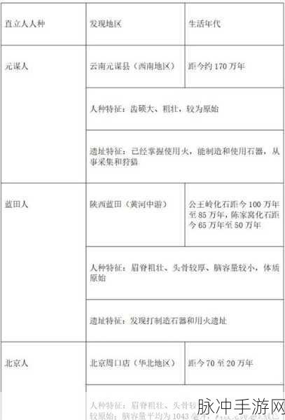 人类黎明攻略揭秘，解锁中石器时代的全面指南